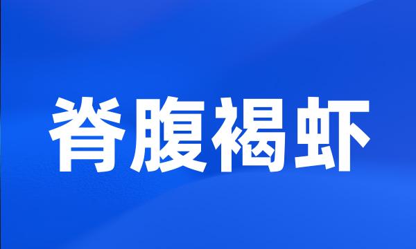 脊腹褐虾