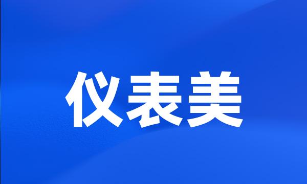 仪表美