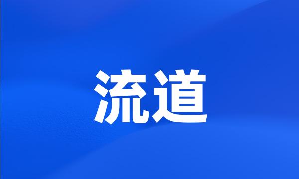 流道