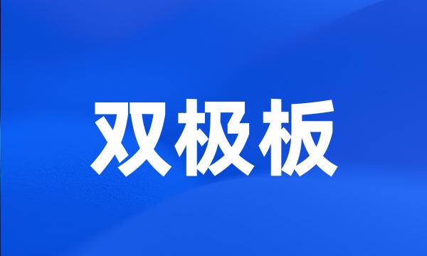 双极板