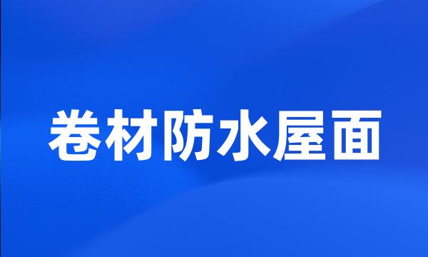卷材防水屋面