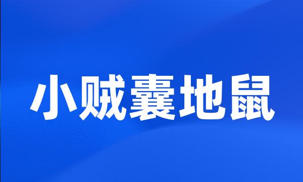 小贼囊地鼠