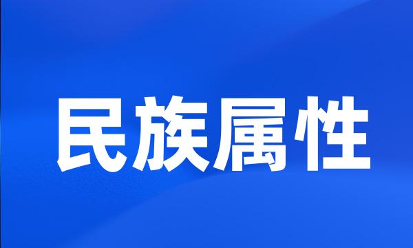 民族属性
