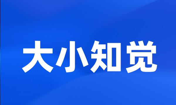 大小知觉