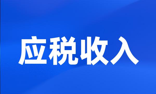 应税收入