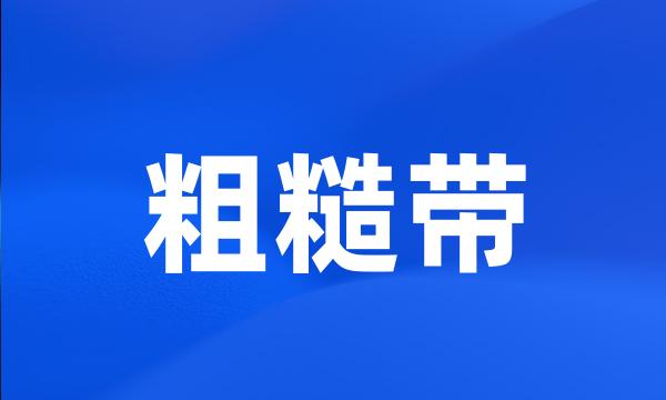 粗糙带
