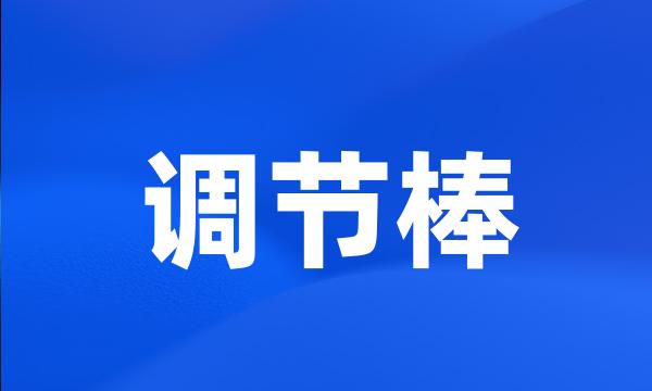 调节棒