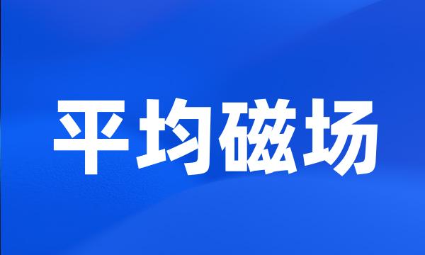 平均磁场