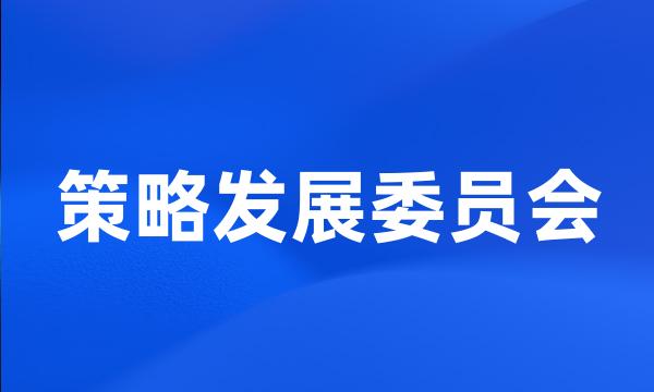 策略发展委员会