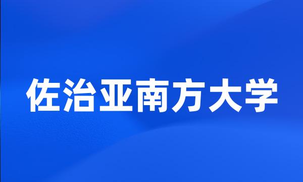 佐治亚南方大学