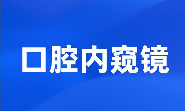 口腔内窥镜