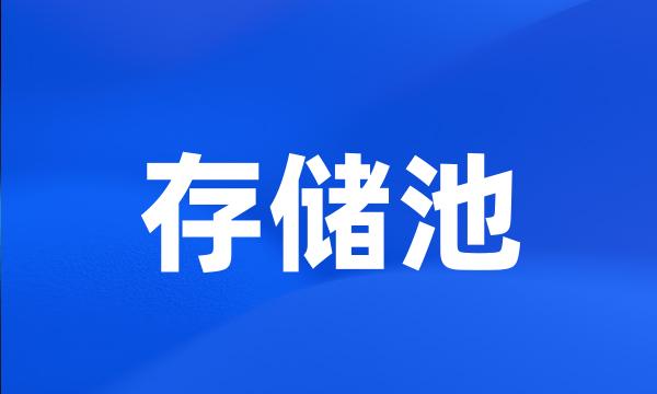 存储池