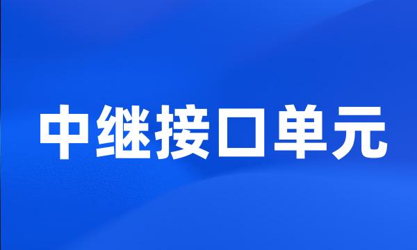中继接口单元
