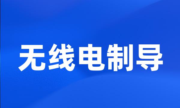无线电制导