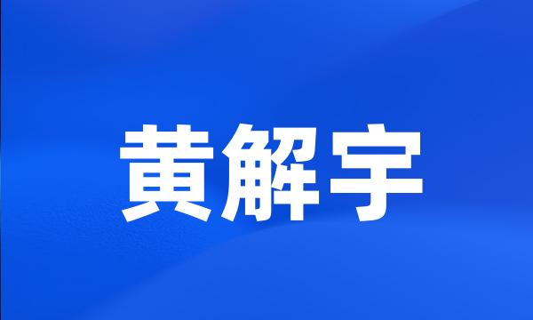 黄解宇