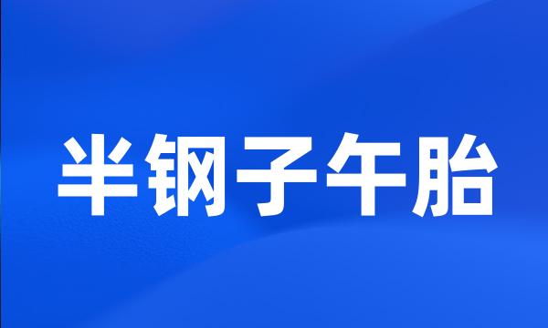 半钢子午胎