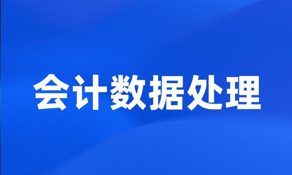 会计数据处理