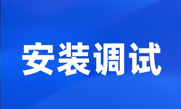 安装调试