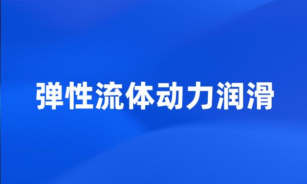 弹性流体动力润滑