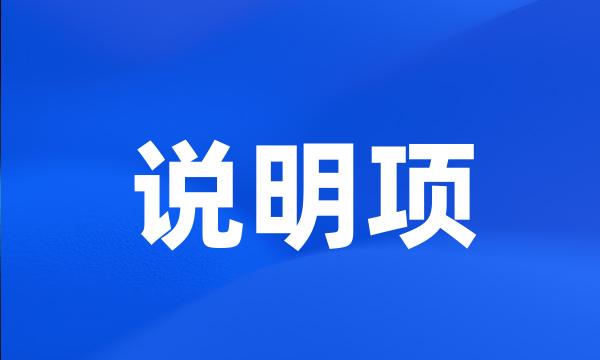 说明项