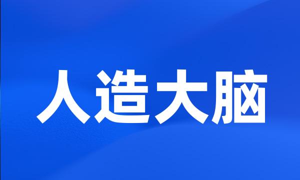 人造大脑