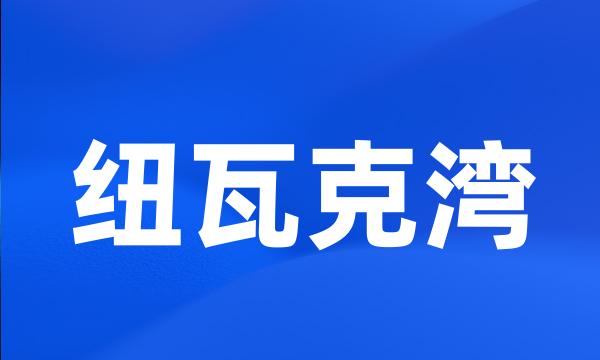 纽瓦克湾