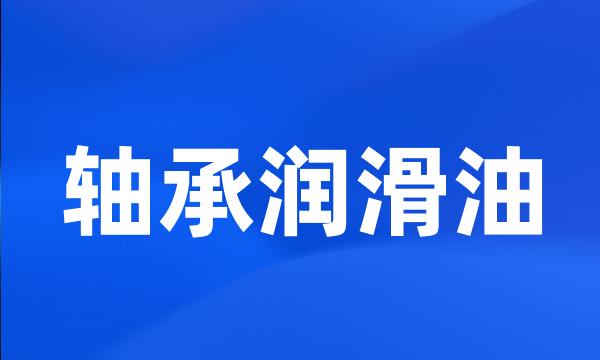 轴承润滑油