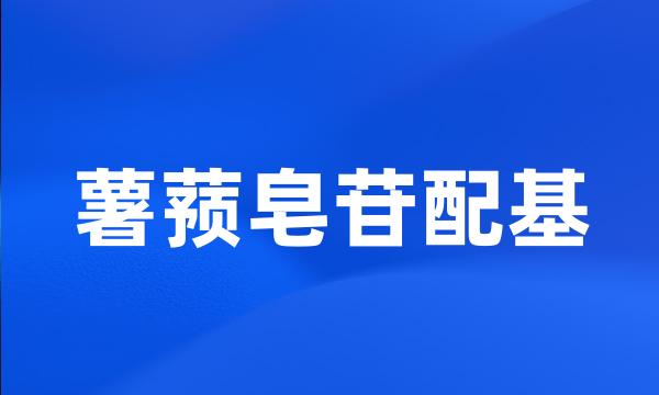 薯蓣皂苷配基