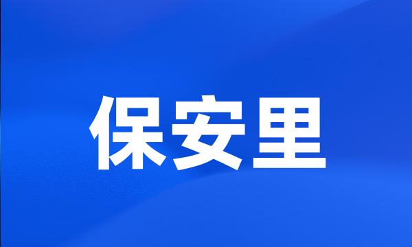 保安里