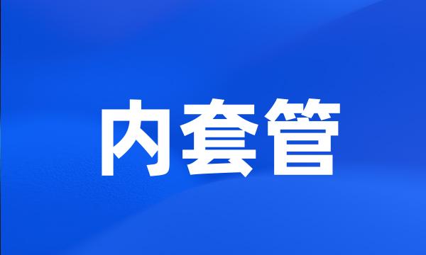 内套管