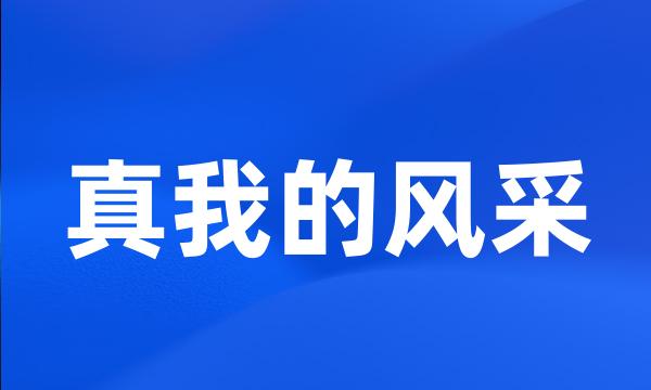 真我的风采
