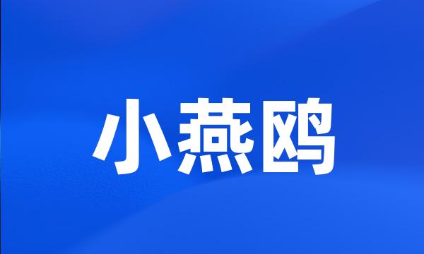小燕鸥