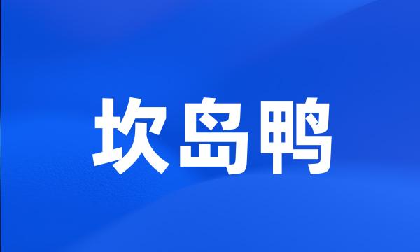 坎岛鸭