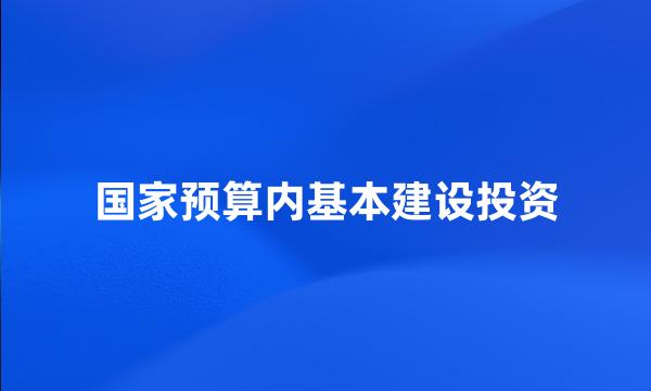 国家预算内基本建设投资