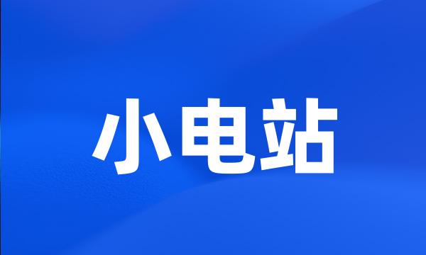 小电站