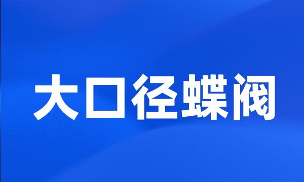 大口径蝶阀