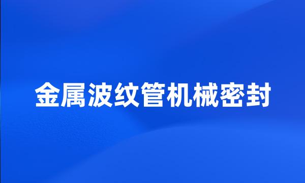 金属波纹管机械密封