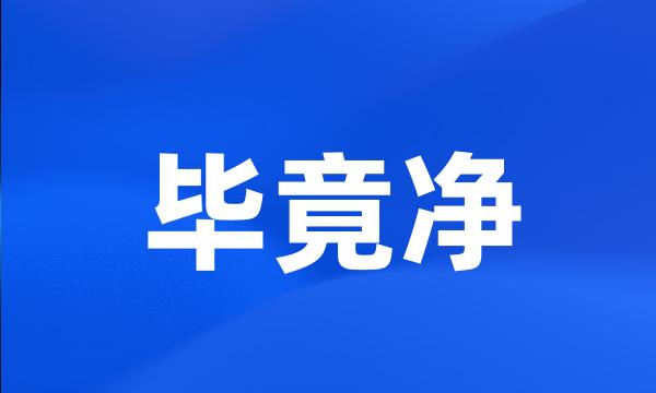 毕竟净