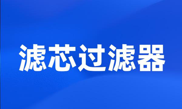 滤芯过滤器