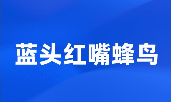 蓝头红嘴蜂鸟