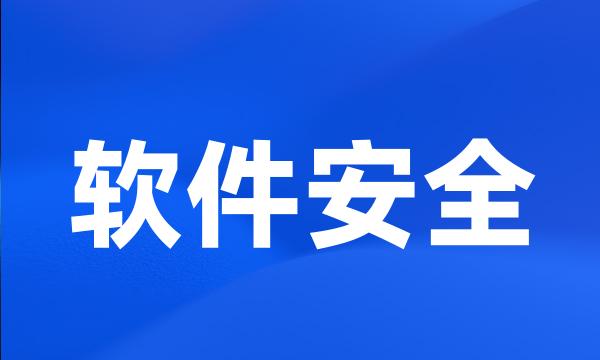 软件安全