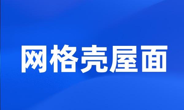 网格壳屋面