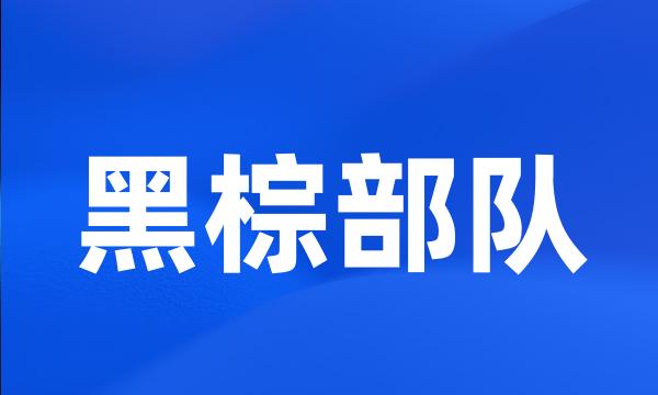 黑棕部队