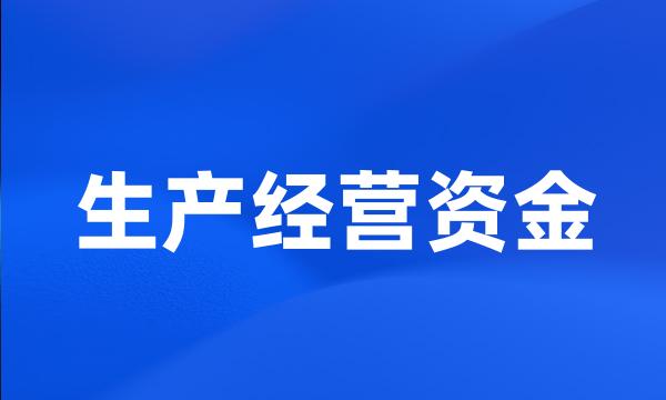 生产经营资金