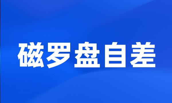 磁罗盘自差