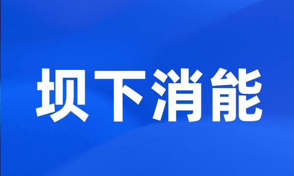 坝下消能