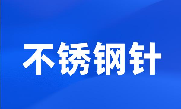 不锈钢针