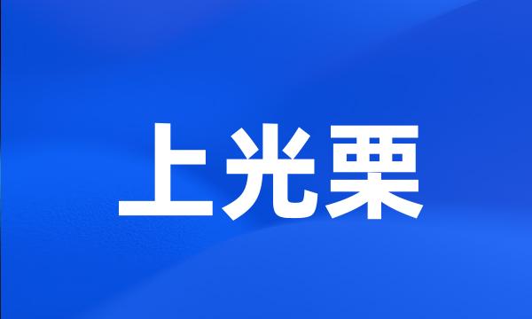 上光栗