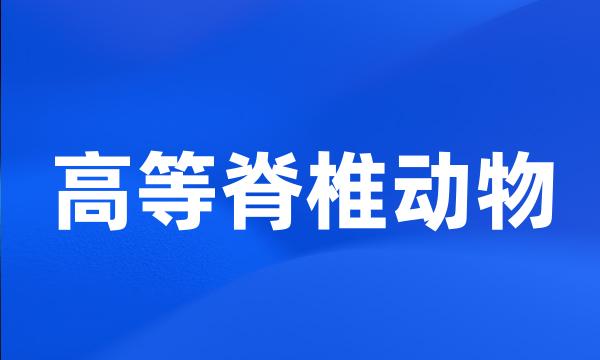 高等脊椎动物
