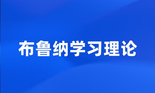 布鲁纳学习理论
